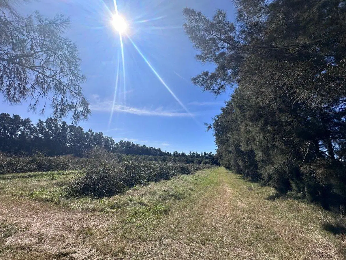 Venta de Campo sobre Ruta 1 Kilometro 16 3