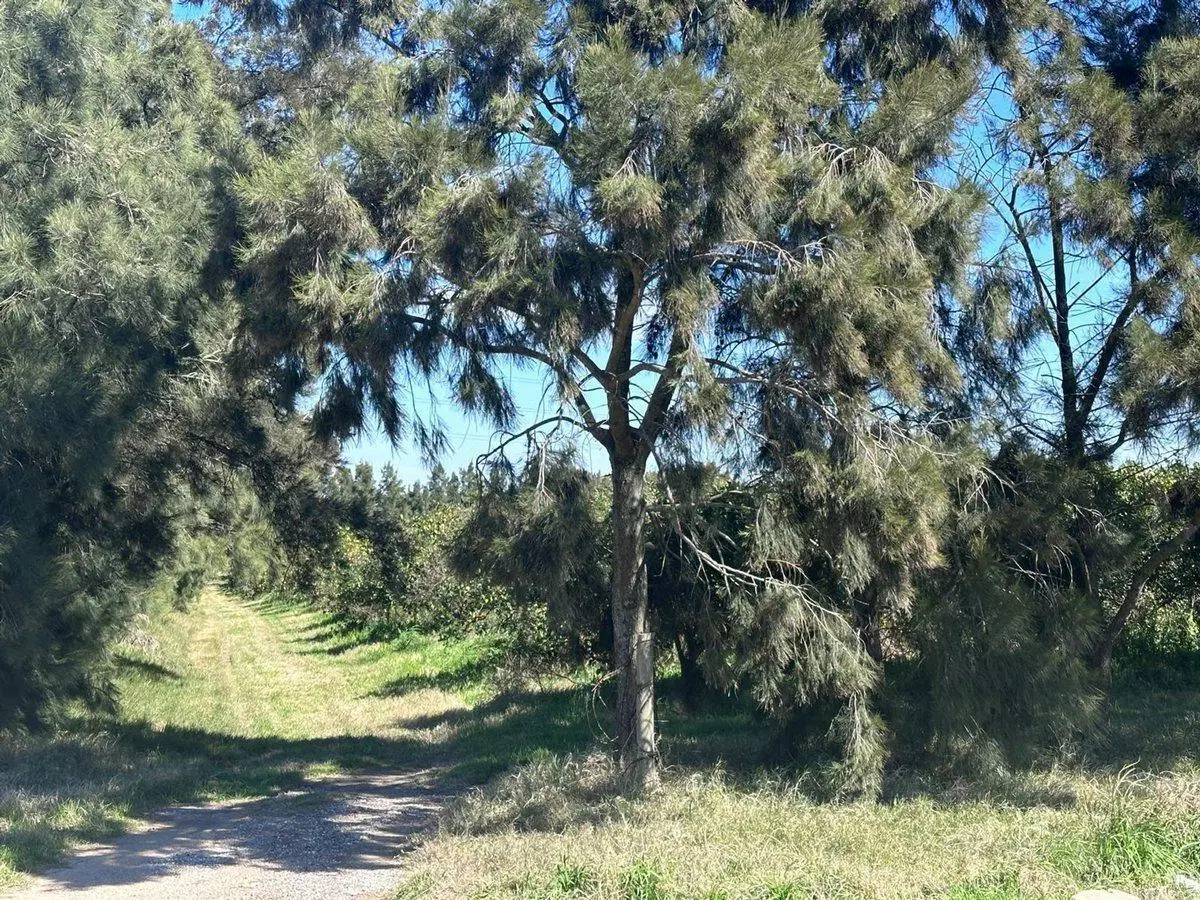 Venta de Campo sobre Ruta 1 Kilometro 16 5