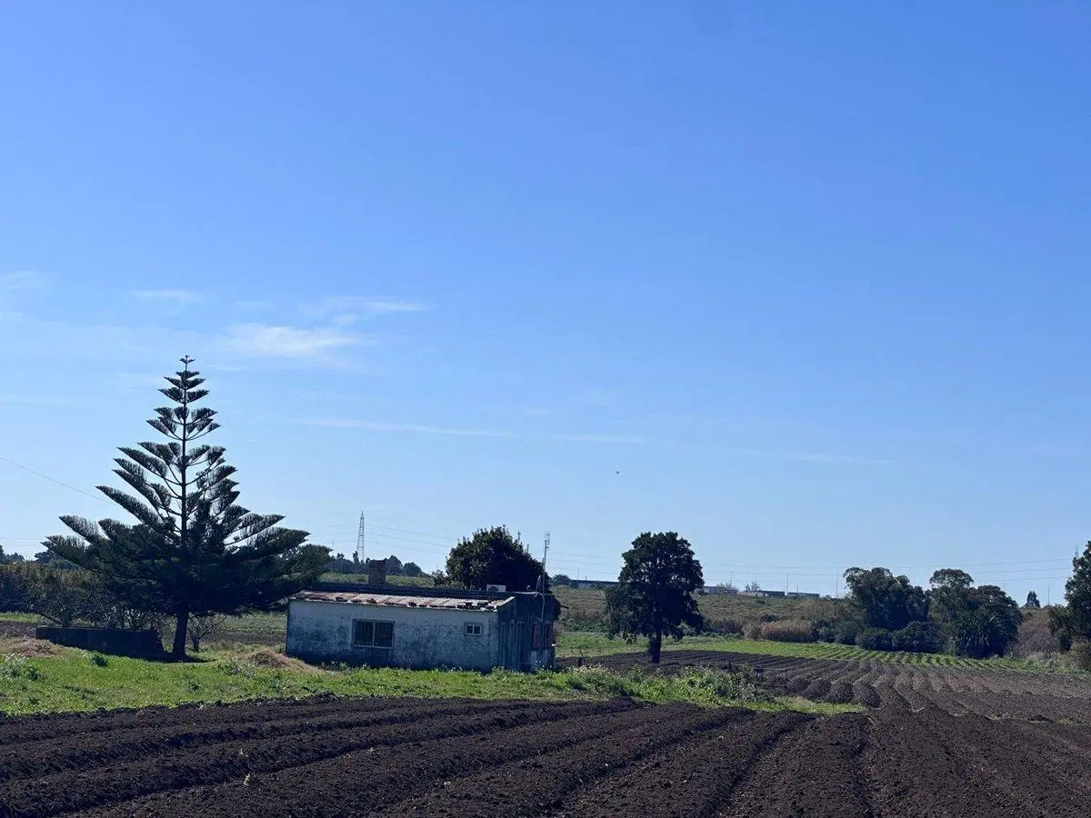 Venta de Chacra de 11 hectáreas Montevideo rural 4