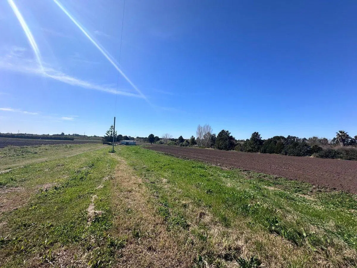 Venta de Chacra de 11 hectáreas Montevideo rural 5