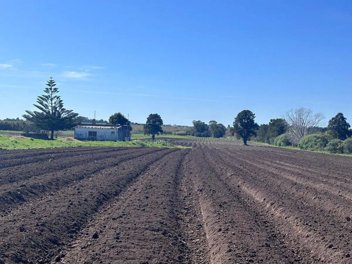 Venta de Chacra de 11 hectáreas Montevideo rural 2