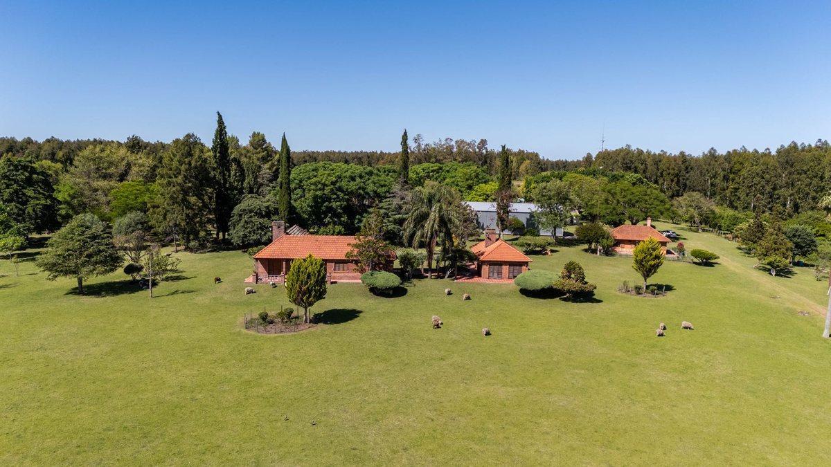 VENTA CAMPO 60H CASCO Y GALPONES EN FRAY BENTOS