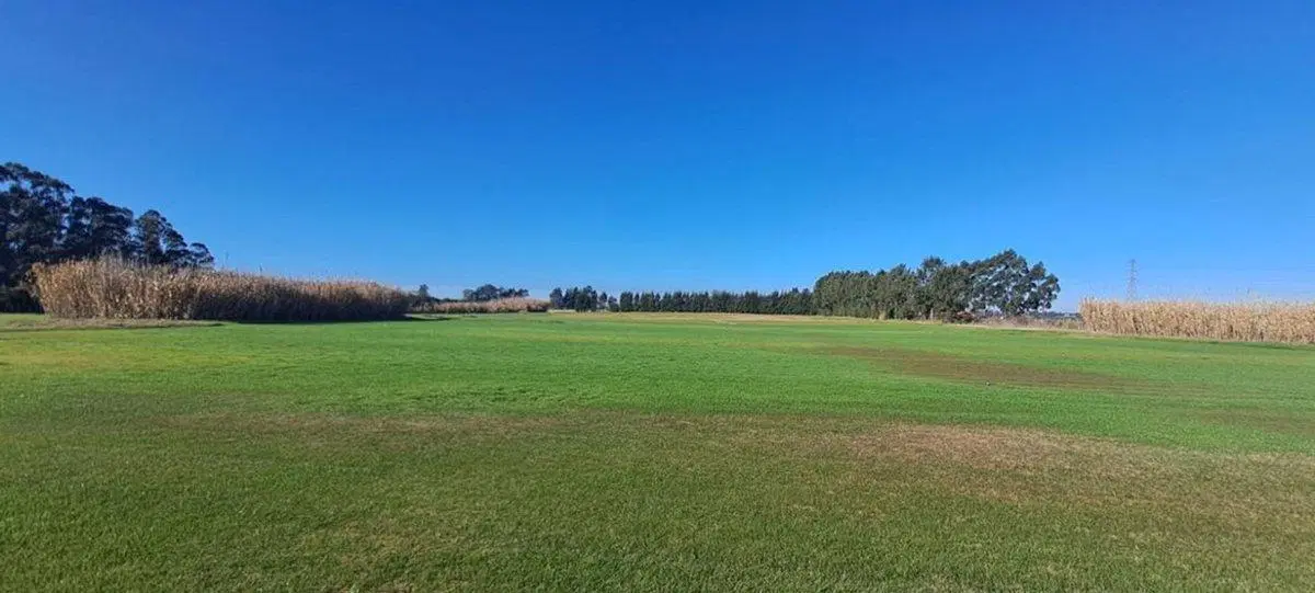 Venta Inversión  36 ha ruta 102 y 8 estratégico 2