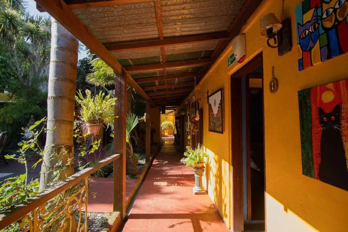 VENTA CASA CON NEGOCIO EL PINAR 3