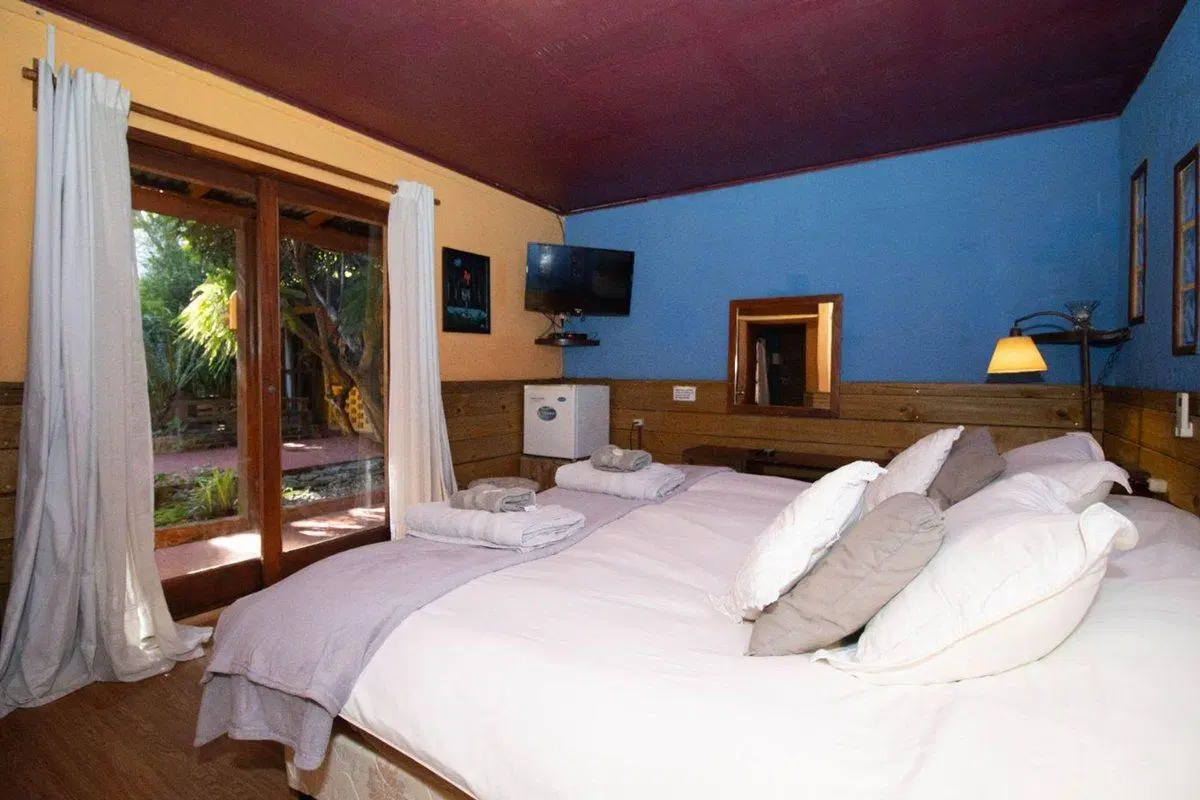 VENTA CASA CON NEGOCIO EL PINAR 4