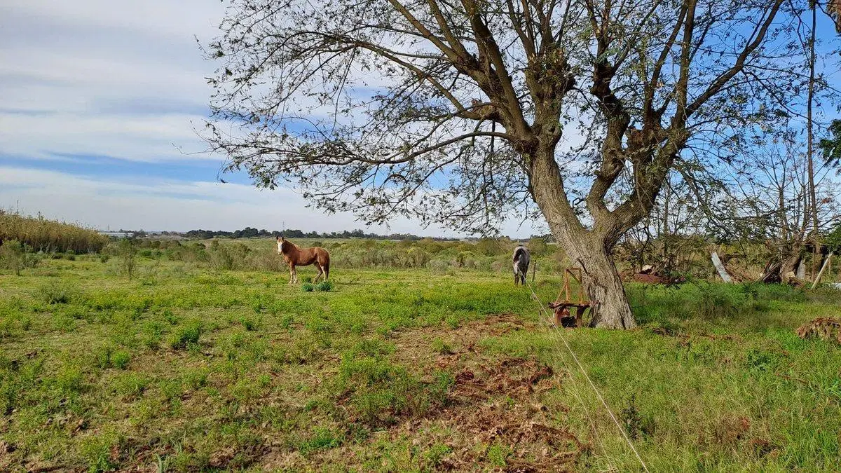 Vendo Campo 200 mts de frente ruta 1 2