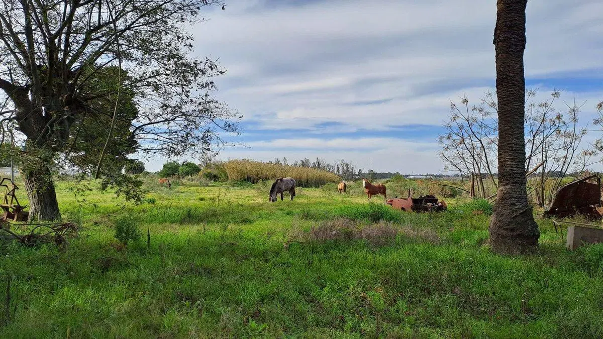 Vendo Campo 200 mts de frente ruta 1 1