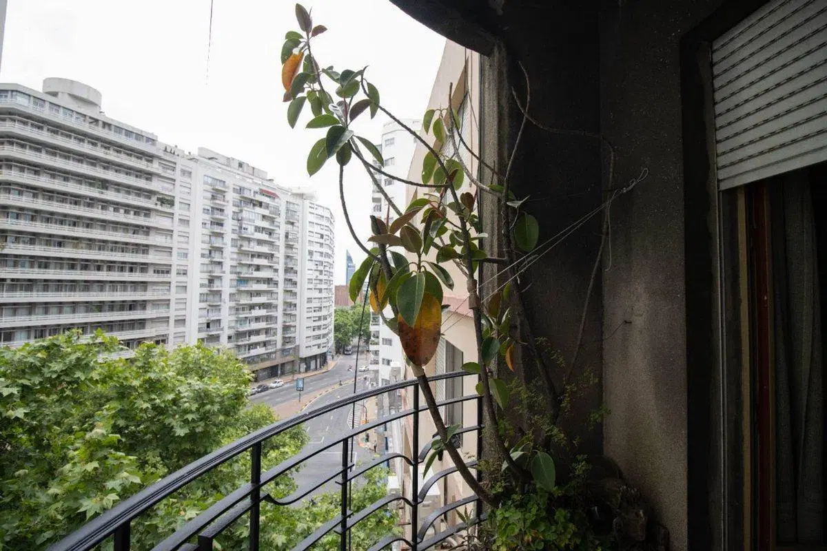 VENTA APARTMENTO 4 DORMITORIOS CENTRO 3