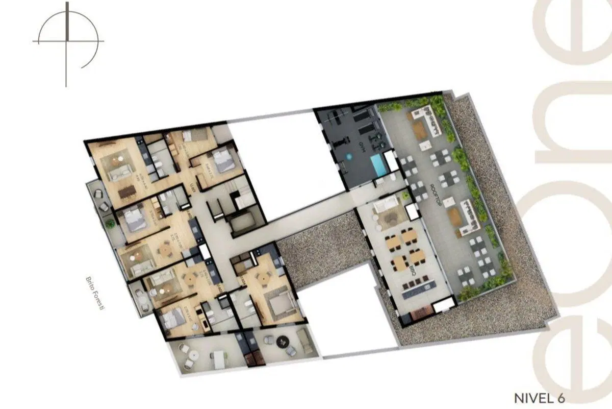 Plano 7