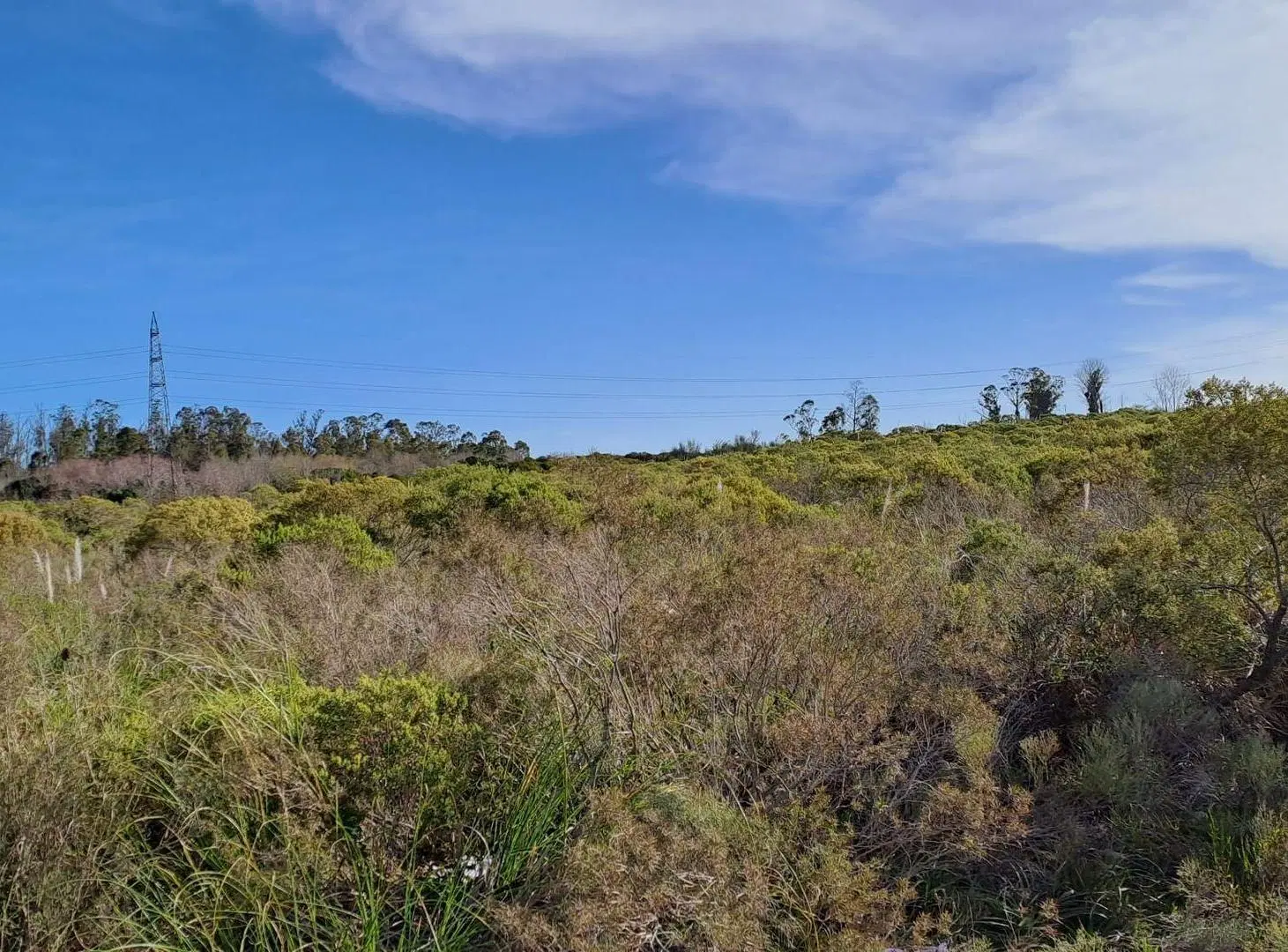 Vendo Campo 200 mts de frente ruta 1 3