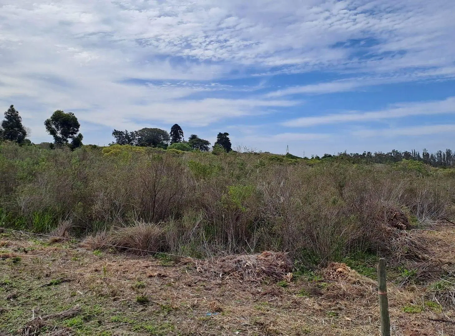 Vendo Campo 200 mts de frente ruta 1 5