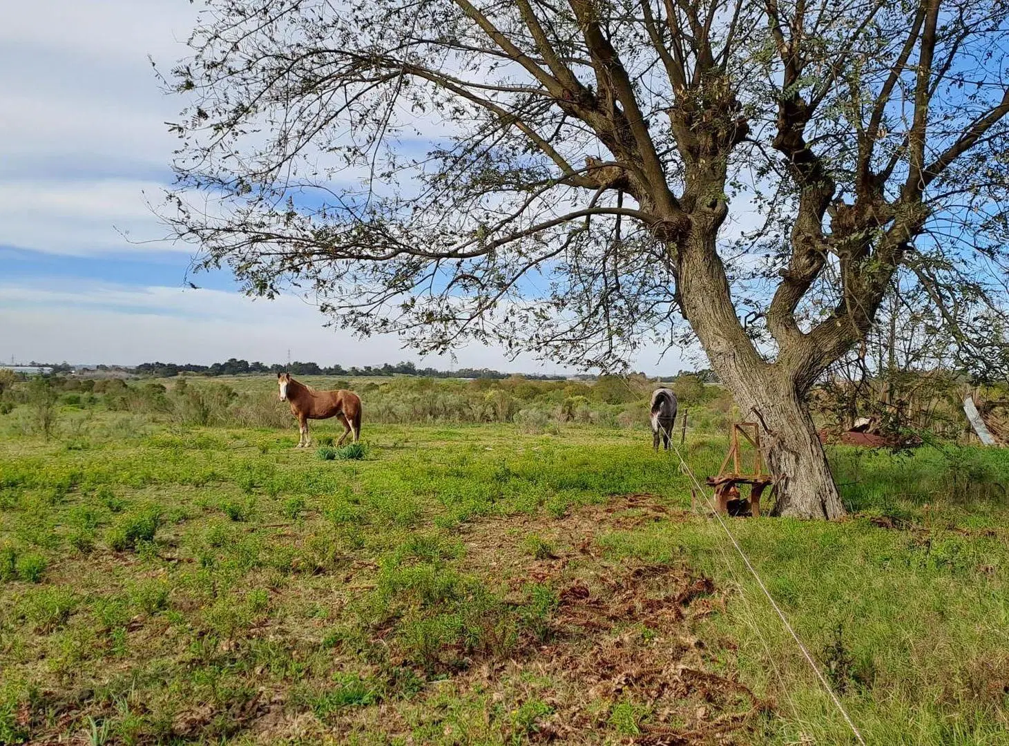 Vendo Campo 200 mts de frente ruta 1 1