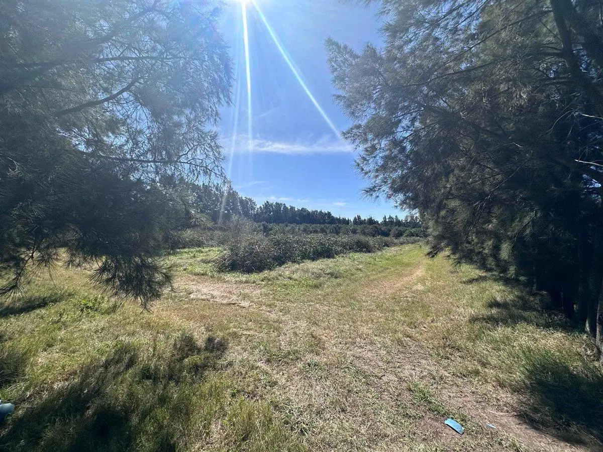 Venta de Campo de 2.82 hectáreas Camino Garcés 3