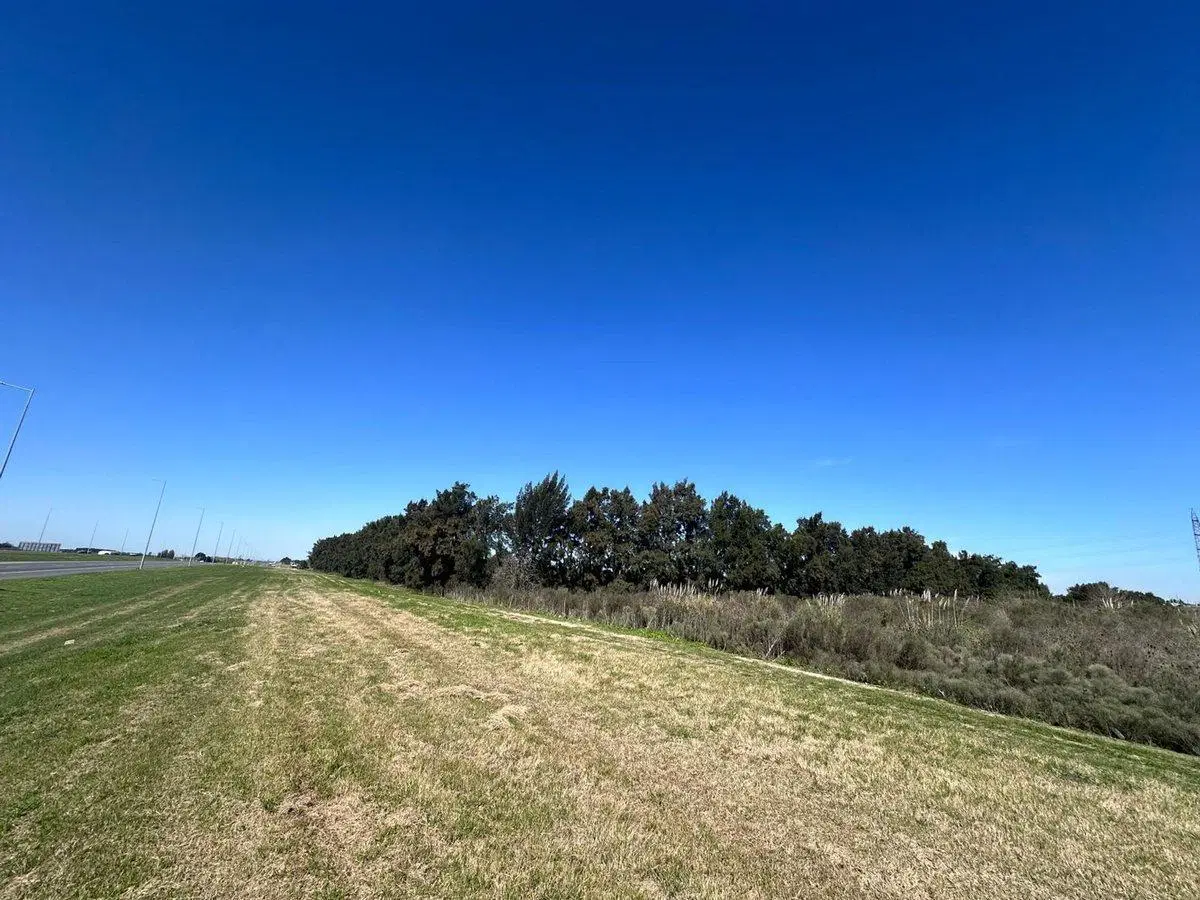 Venta campo en Ruta 1 Kilometro 16 4