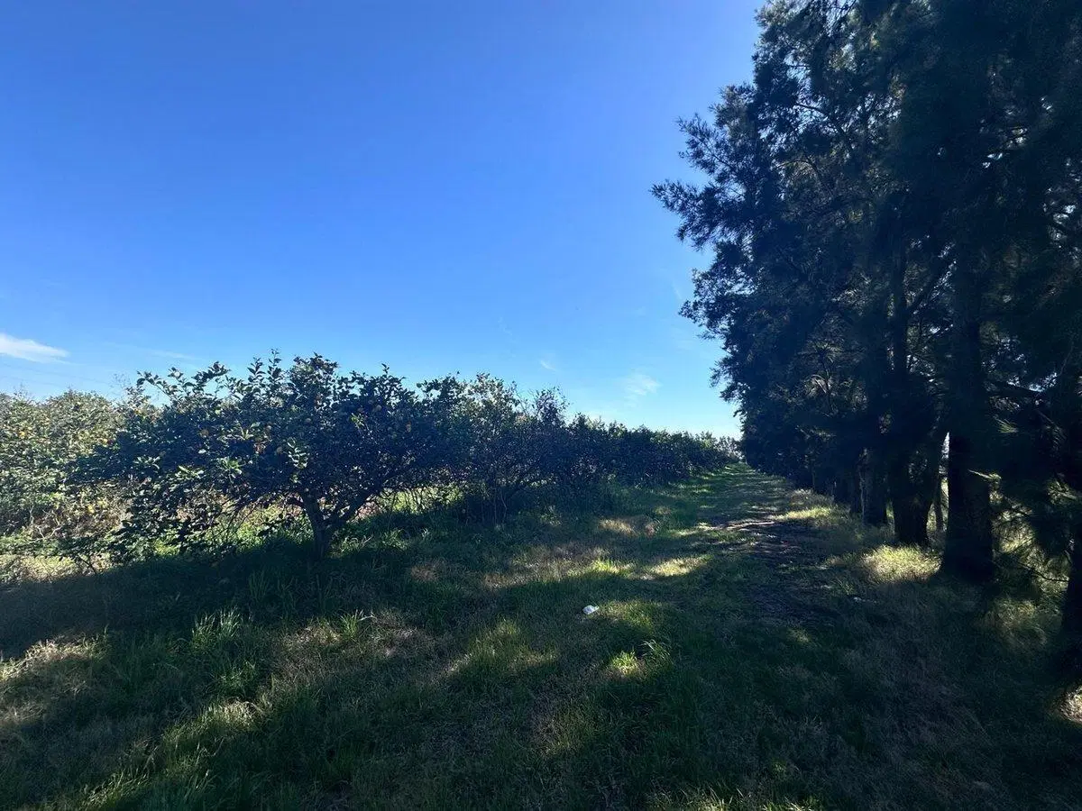 Venta campo en Ruta 1 Kilometro 16 5