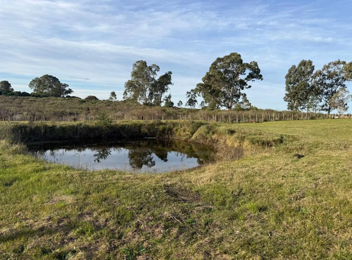 Terreno Venta de 7683 m2 sobre Ruta 8 Lavalleja 4