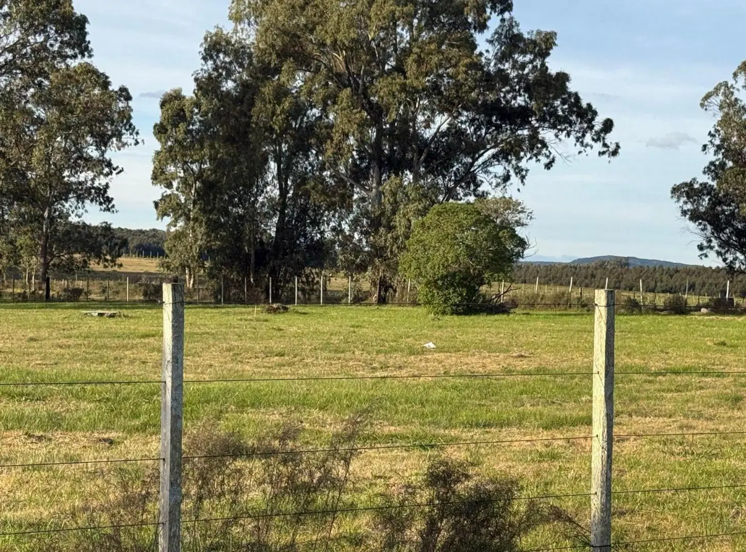 Terreno Venta de 7683 m2 sobre Ruta 8 Lavalleja 3