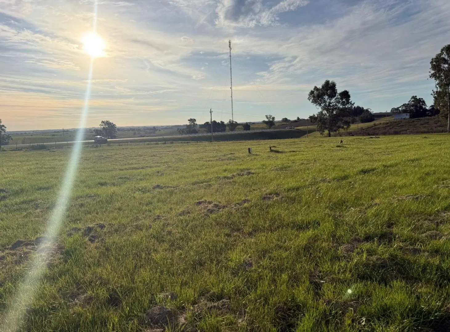 Terreno Venta de 7683 m2 sobre Ruta 8 Lavalleja 5