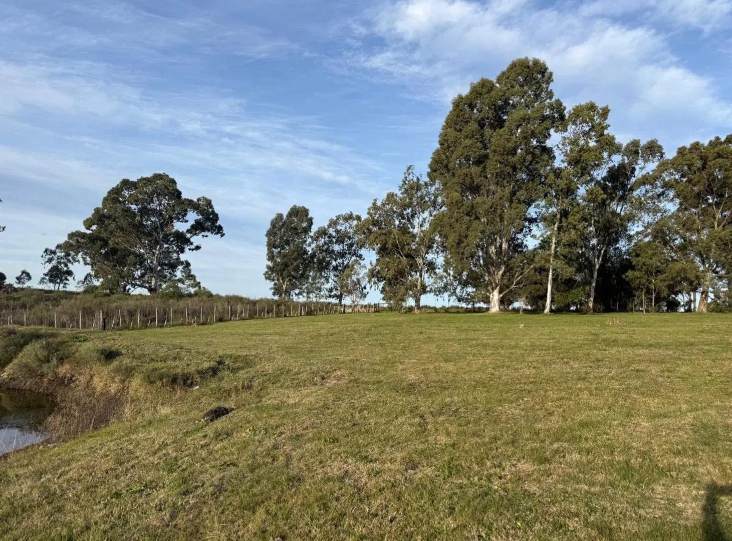 Terreno Venta de 7683 m2 sobre Ruta 8 Lavalleja 2