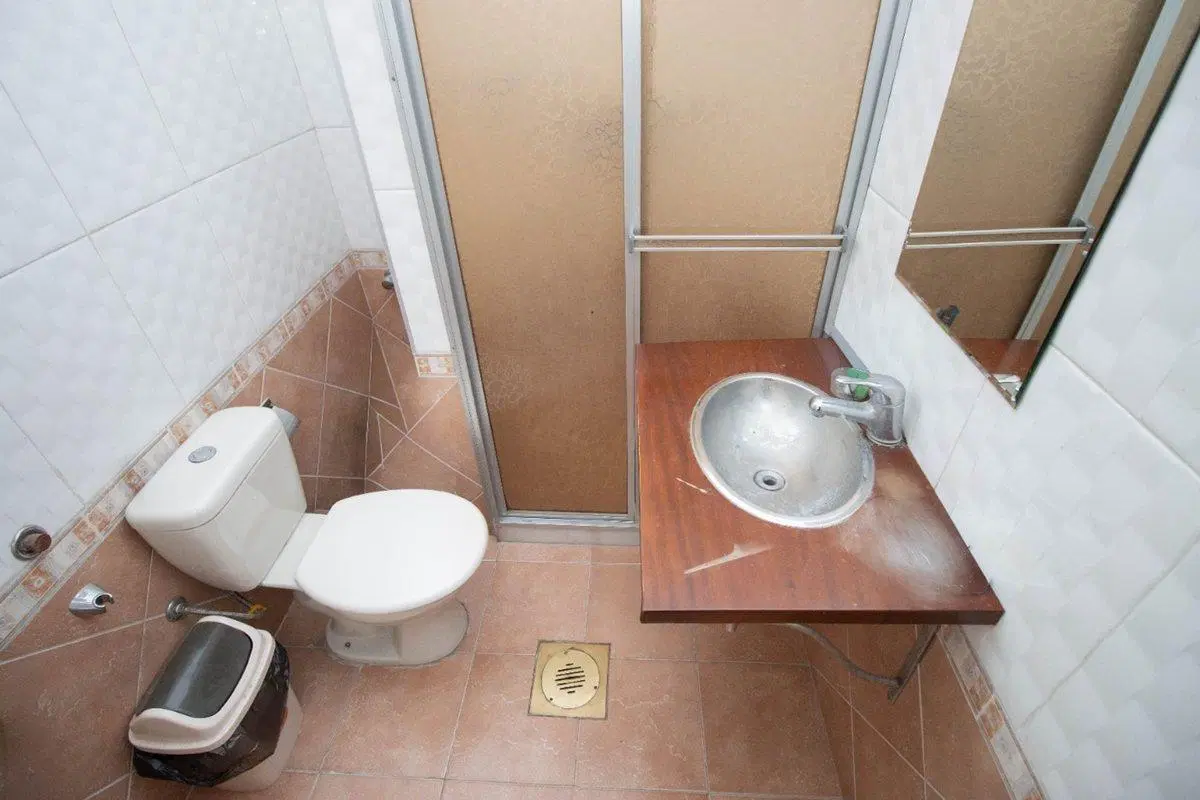 Venta apartamento 2 dormitorios en Brazo Oriental 5