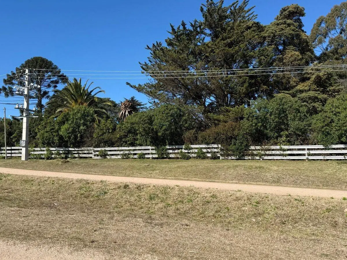 Venta de Chacra 7 has Ruta 6 km 25300 2