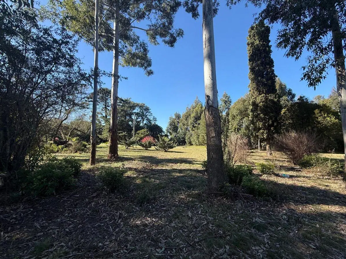 Venta de Chacra 7 has Ruta 6 km 25300 4