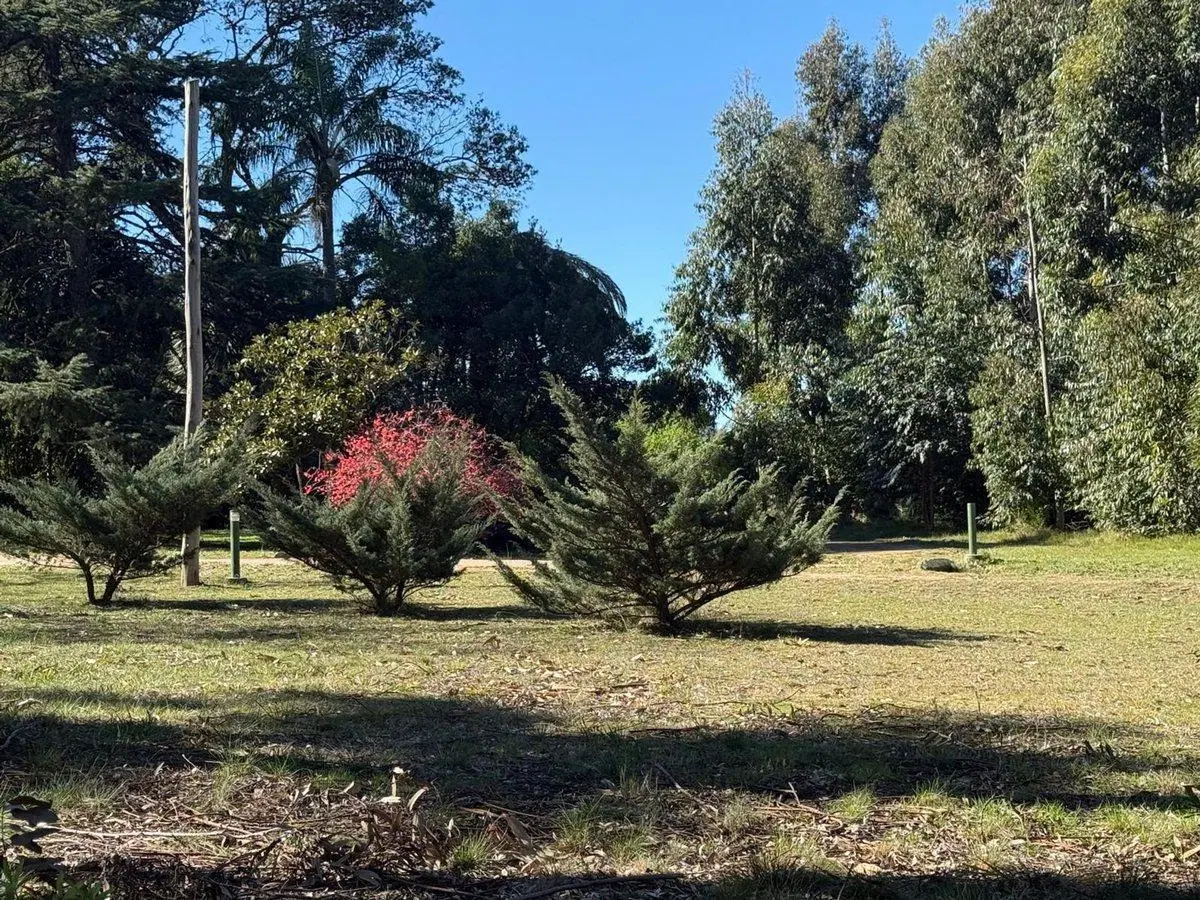 Venta de Chacra 7 has Ruta 6 km 25300 5