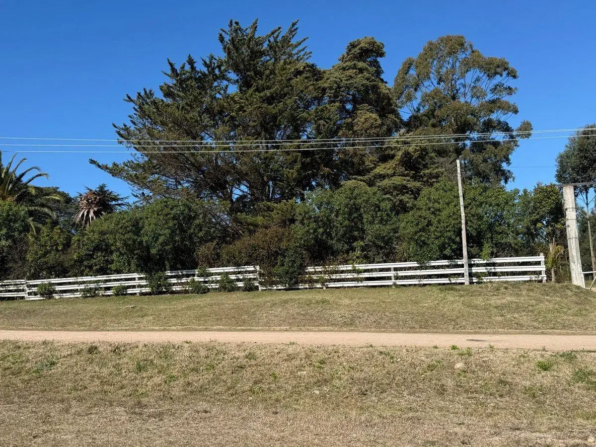 Venta de Chacra 7 has Ruta 6 km 25300 6
