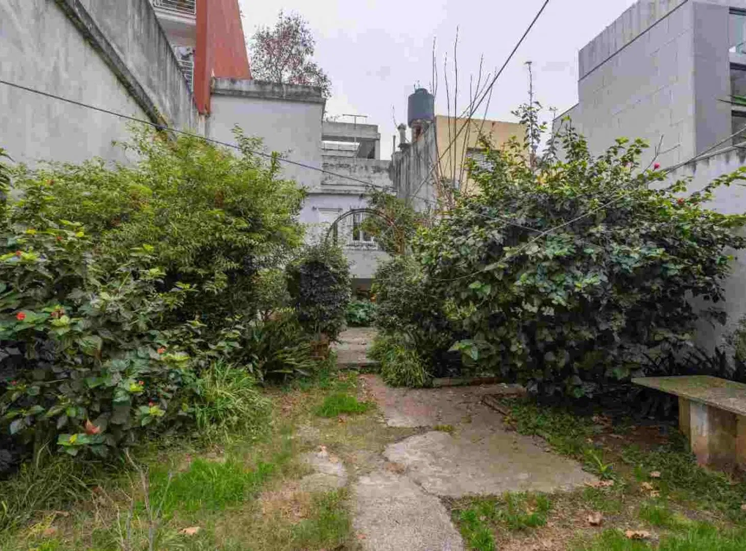 Venta PU Casa y Apto en Pocitos con garaje y fondo 8