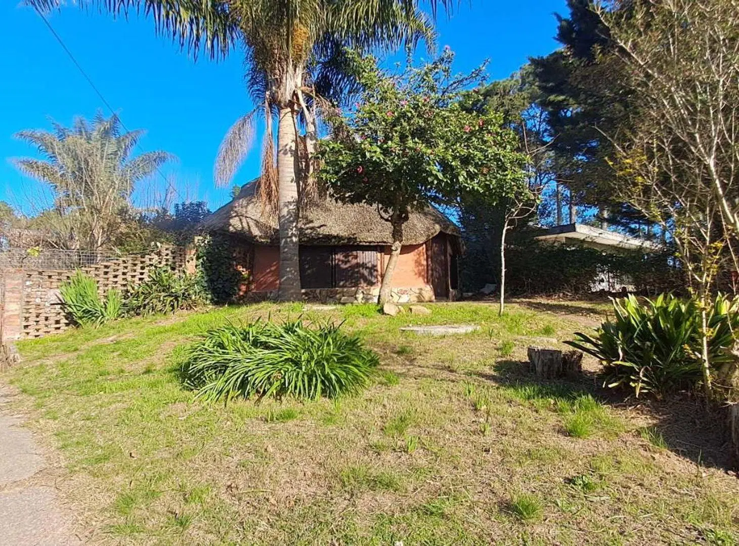 VENTA DE TERRENO CON DOS CASAS EL PINAR SUR 5