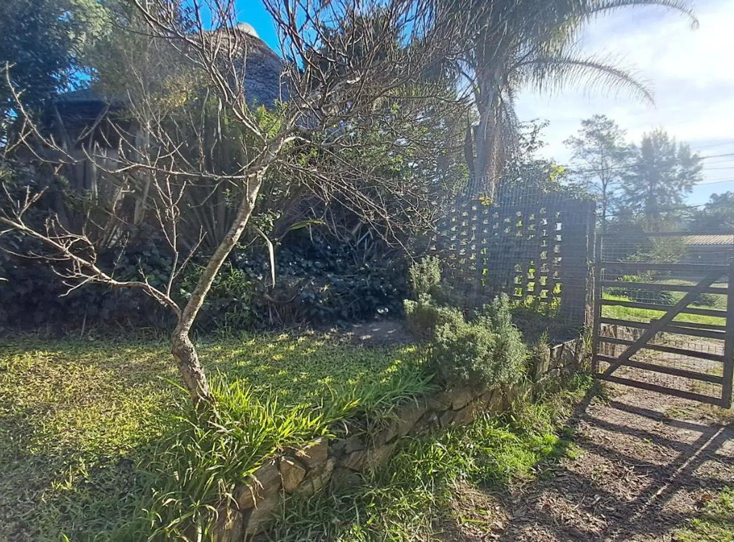 VENTA DE TERRENO CON DOS CASAS EL PINAR SUR 1