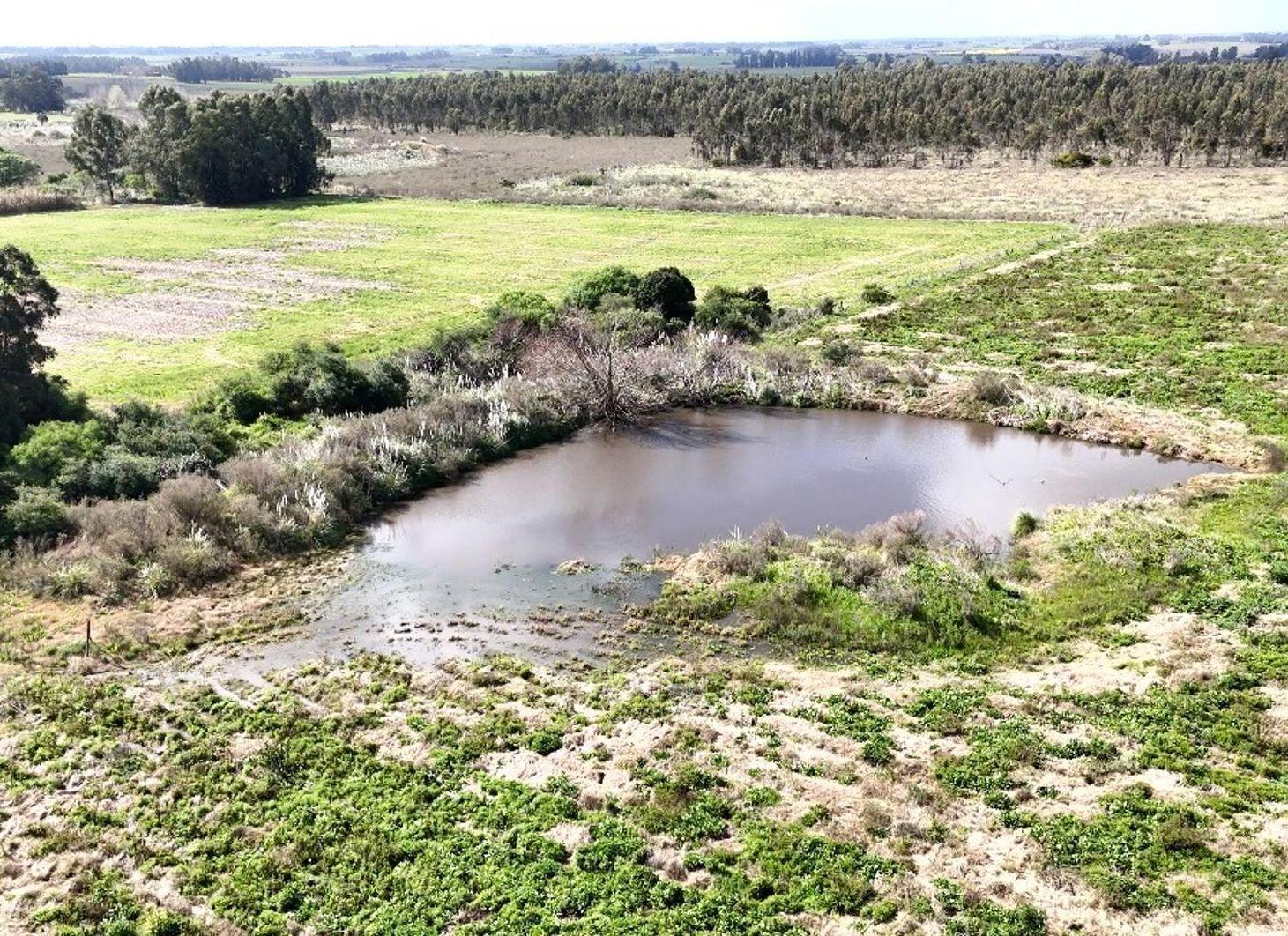 Foto de Vendo campo terreno 4,4 hectáreas c tajamar Sauce, imagen 4