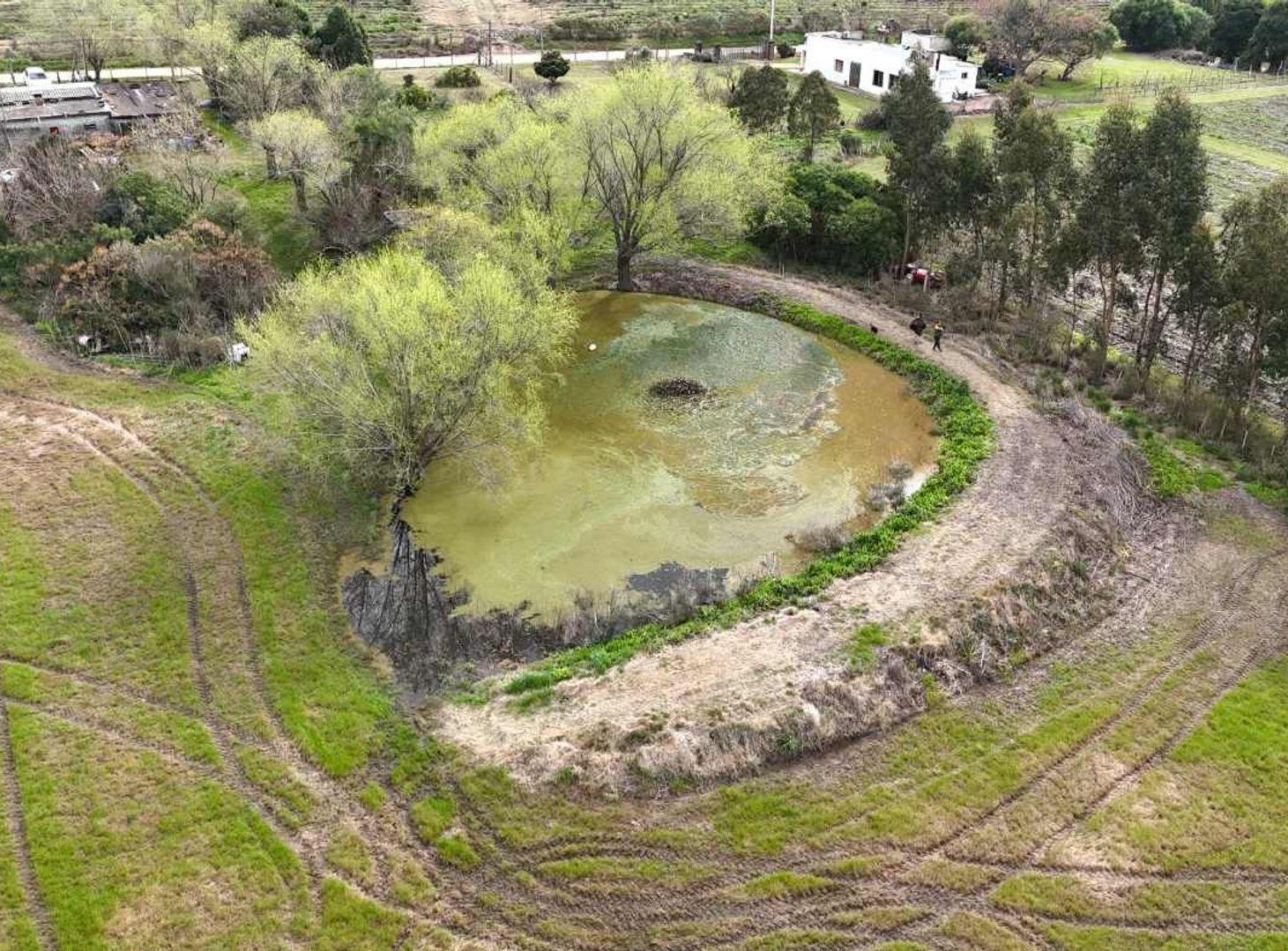 Foto de Vendo campo 2 hectáreas Pando Ru 75 casa y tajamar, imagen 4