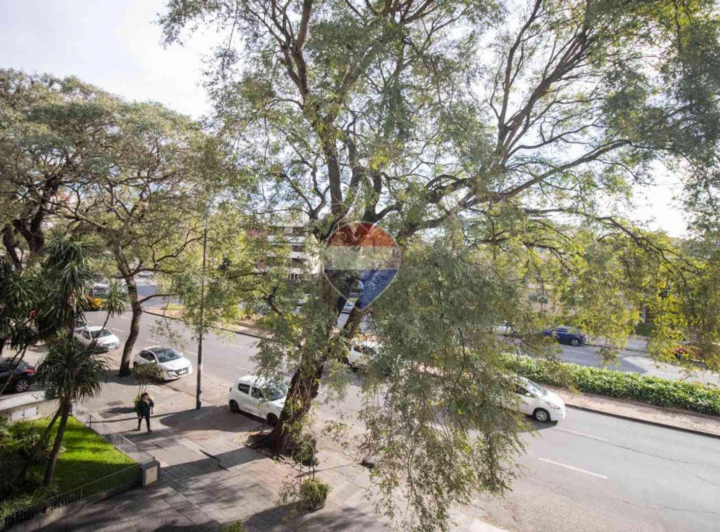 Foto de VENTA APARTAMENTO 2 DORMITORIOS Y SERV PARQUE RODÓ, imagen 3