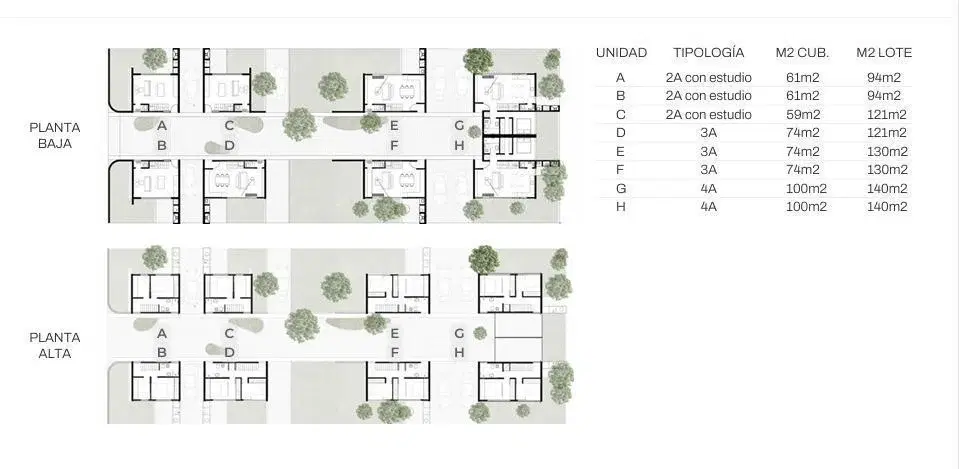Plano 4