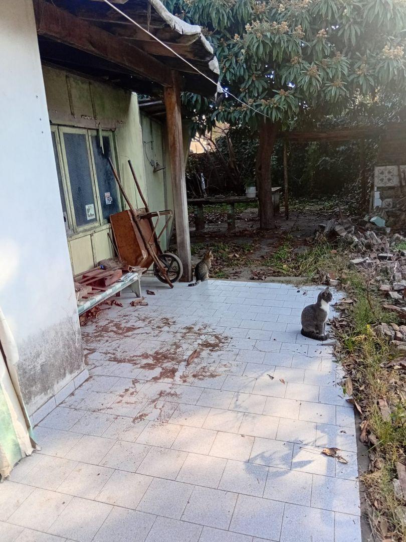 Foto de OPORTUNIDAD CASA 4 AMB AMPLIO LOTE DE 530 M², imagen 3