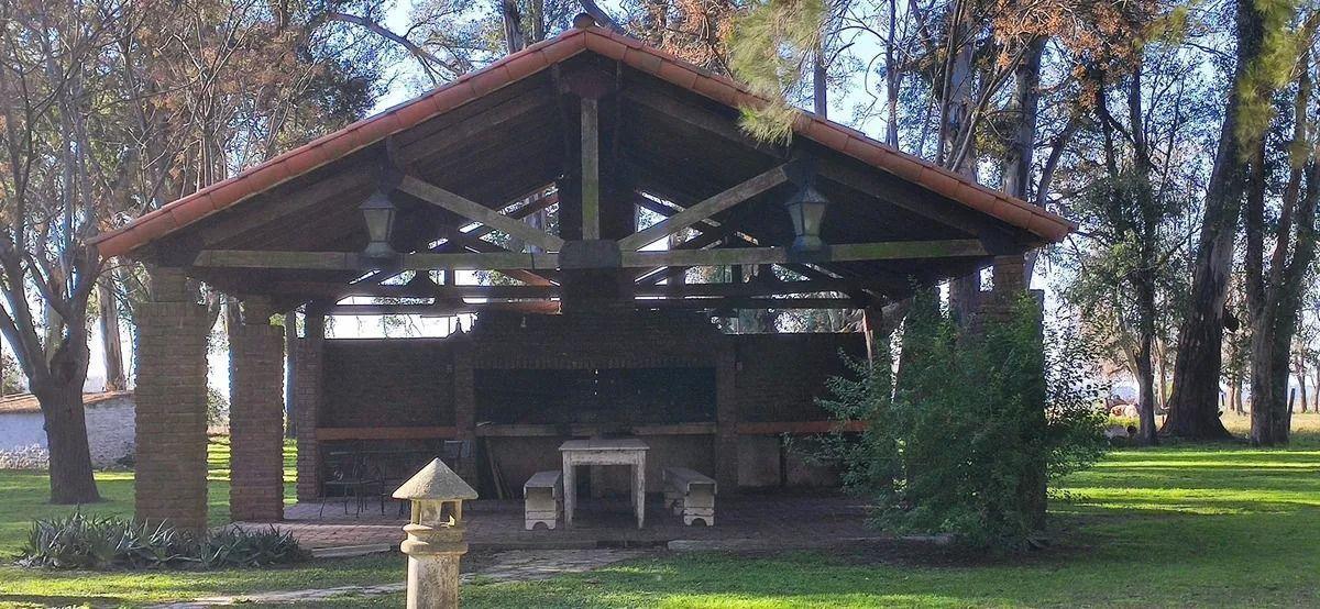 Foto de CAMPO EN VENTA - 46HA CORTÍNES, PROVINCIA DE BUENOS AIRES, imagen 2