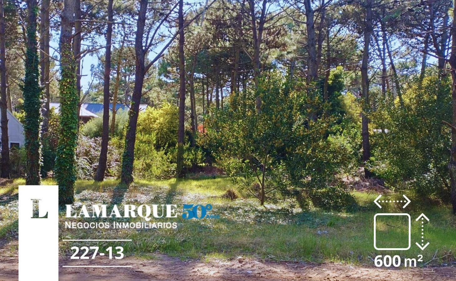 LOMAS DE VALERIA. Lote 600 m2