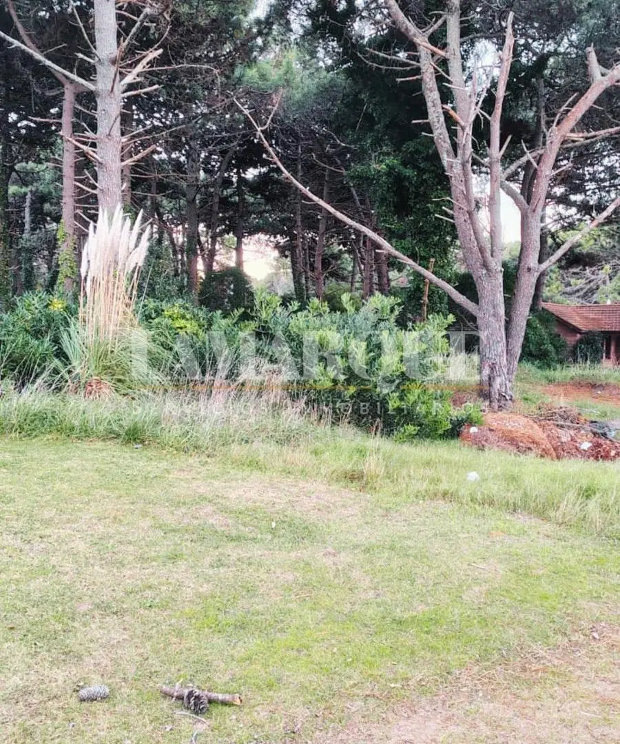 Lote en barrio Lasalle muy cerca del mar. Pinamar Norte. Sobre Av del Libertador 2