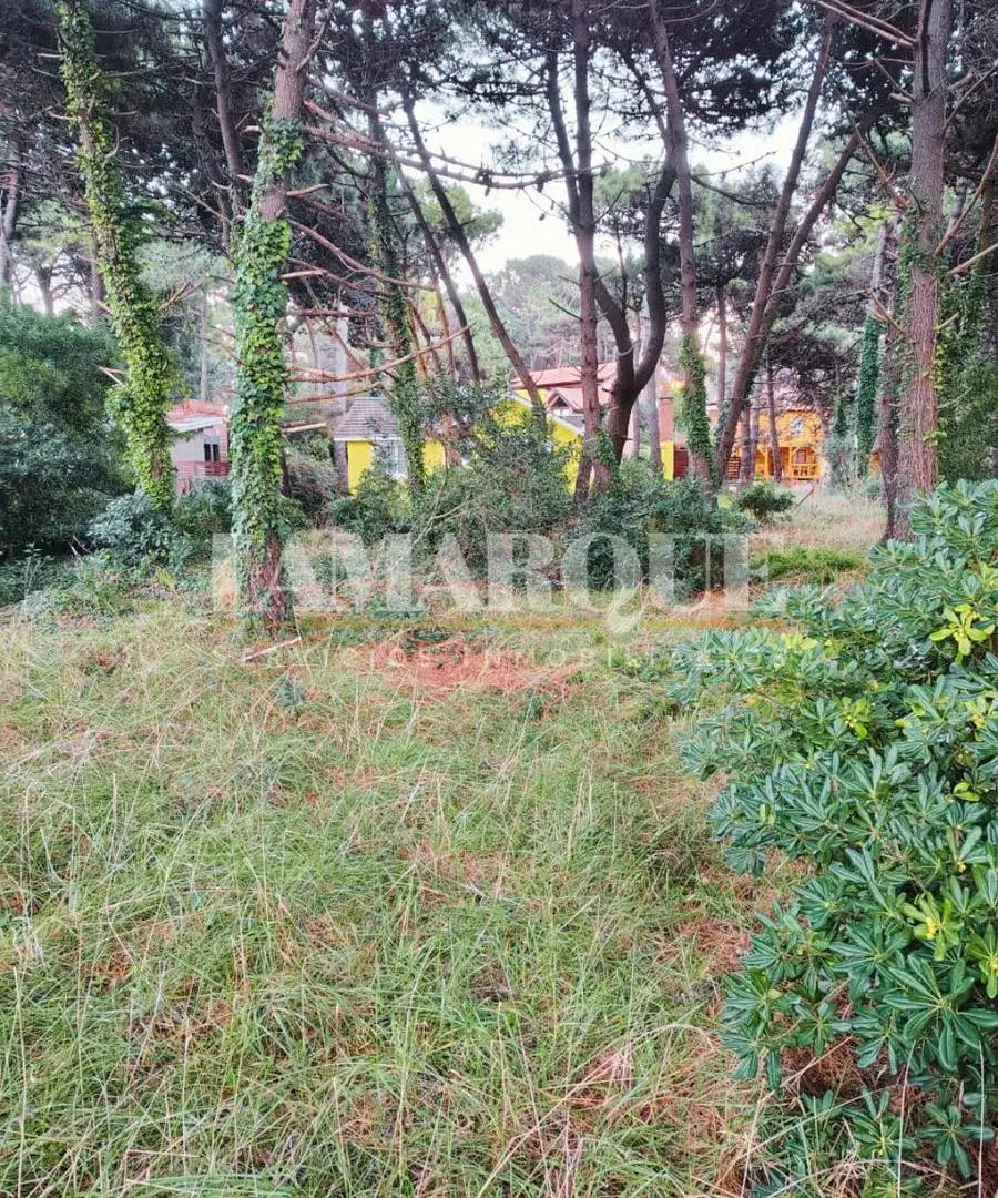 Lote en barrio Lasalle muy cerca del mar. Pinamar Norte. Sobre Av del Libertador 4