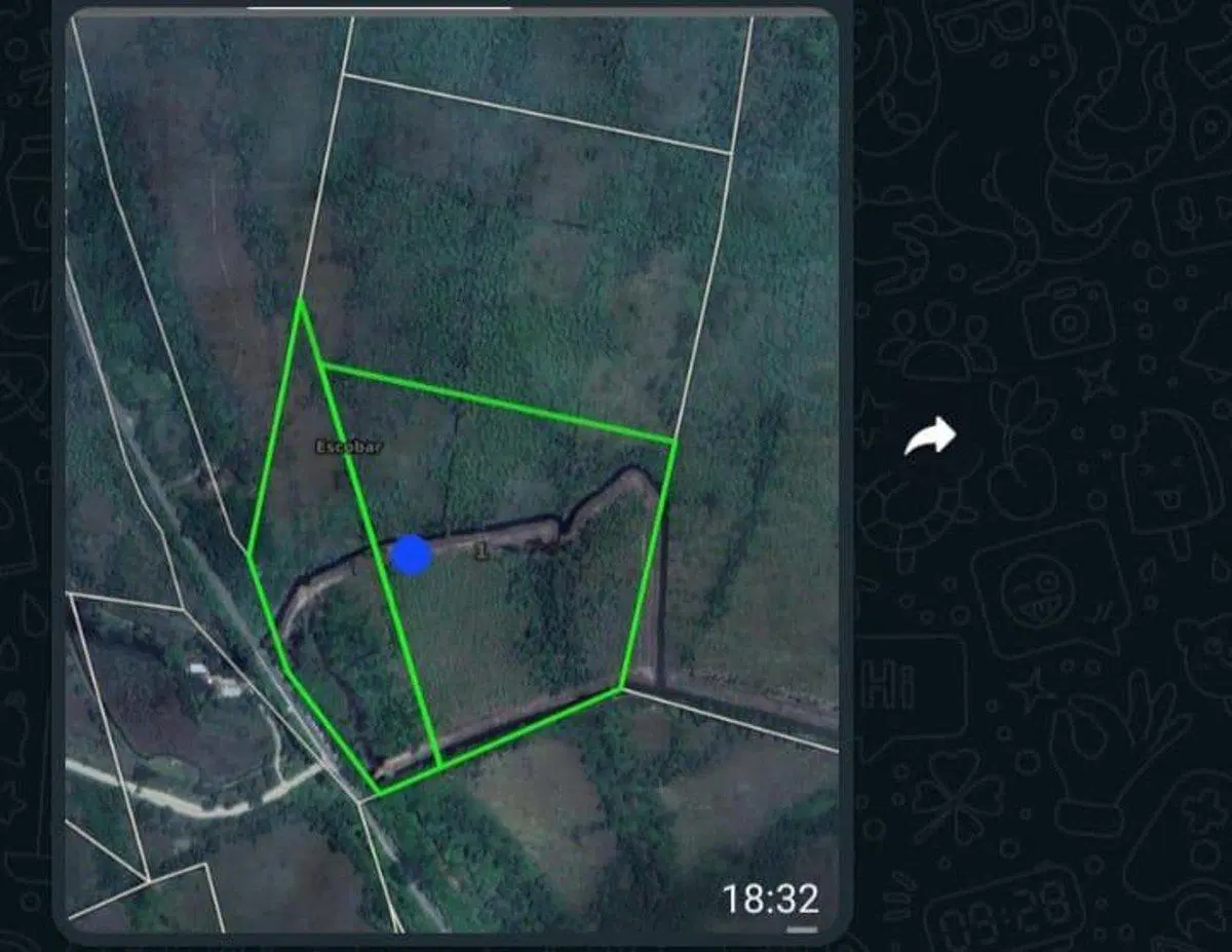 VENTA LOTE 10 HECTAREAS SOBRE RUTA 25 ESCOBAR 8