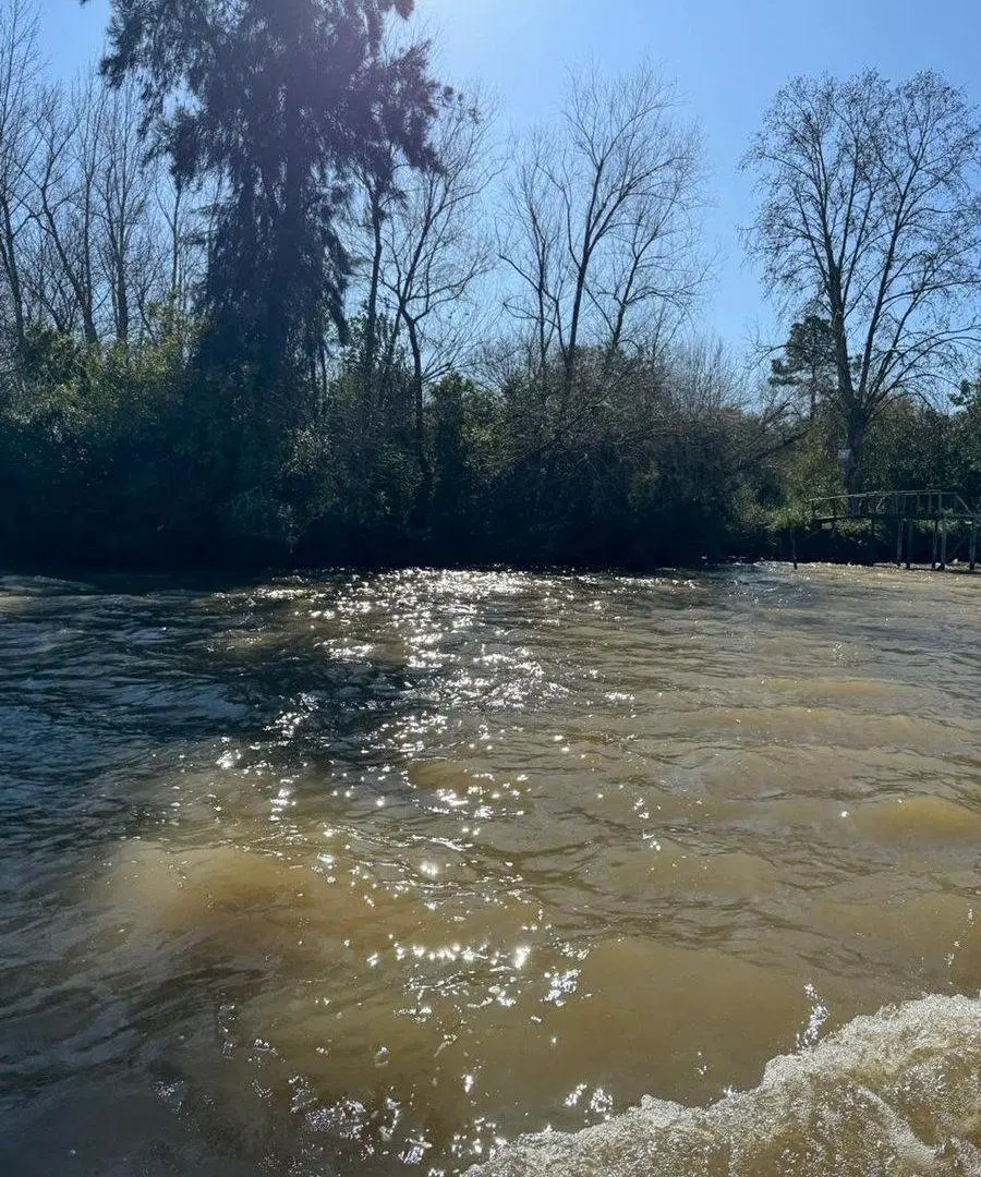 VENTA 33 HECT. RIO CARABELAS 1700 FRACC de ISLA 4