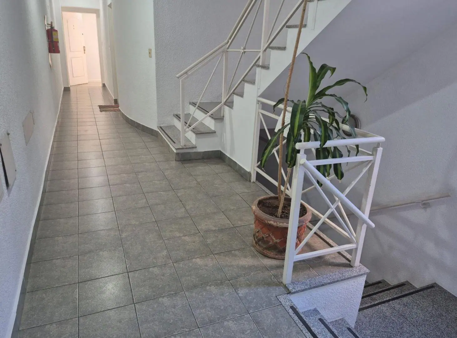 Alquiler 3 Amb Luminos c/ amenities V G Mitre 3