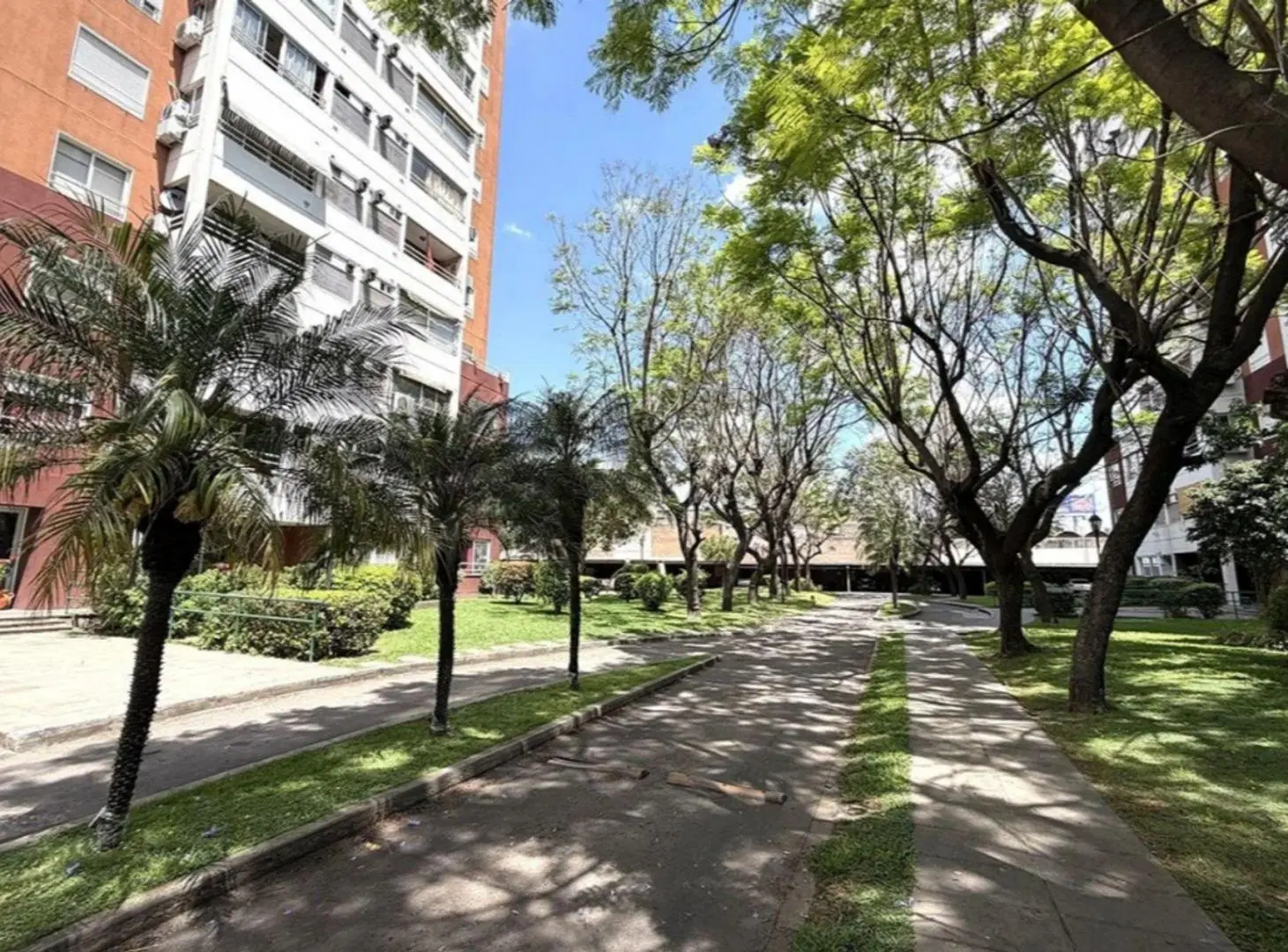 Departamento 3 ambientes 5