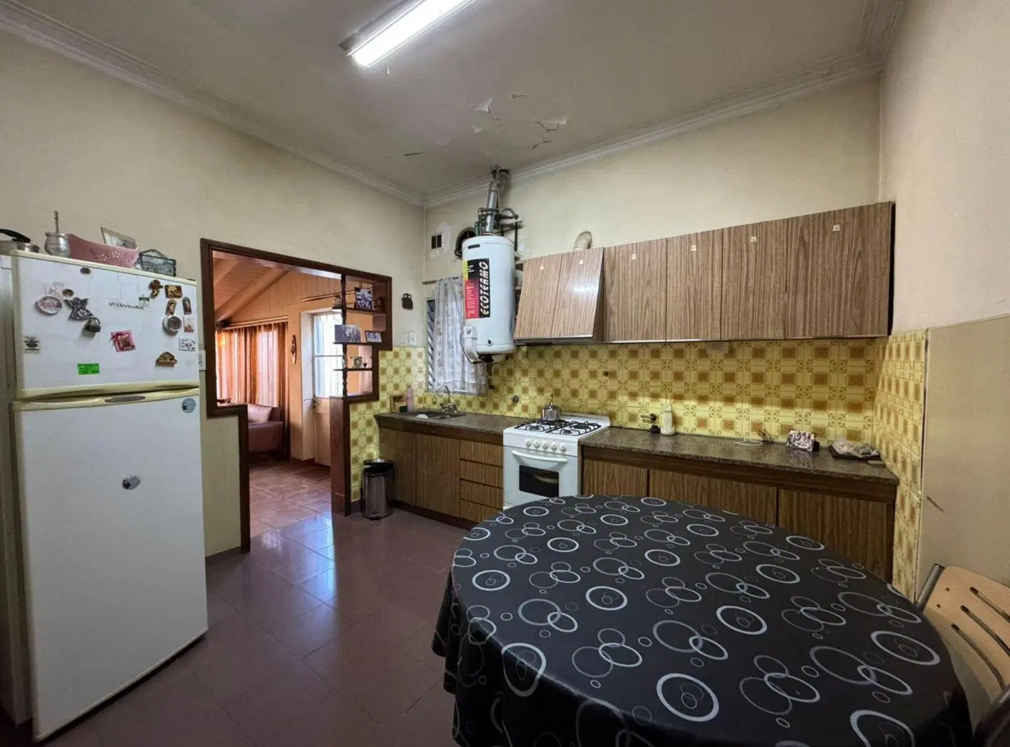 CASA EN VENTA 4 AMB + DEPTO 2 AMB JARDIN V. MAIPU 2