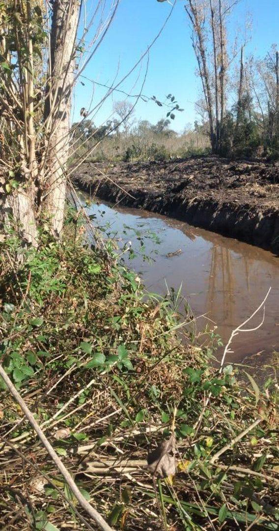 Foto de VENTA LOTE 10 HECTAREAS SOBRE RUTA 25 ESCOBAR, imagen 4