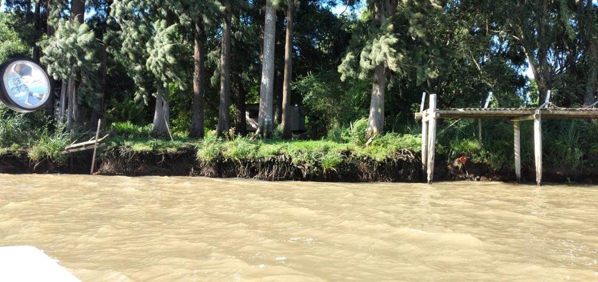 Foto de VENTA 32 HECTAREAS ISLAS PARANA de las PALMAS, imagen 2