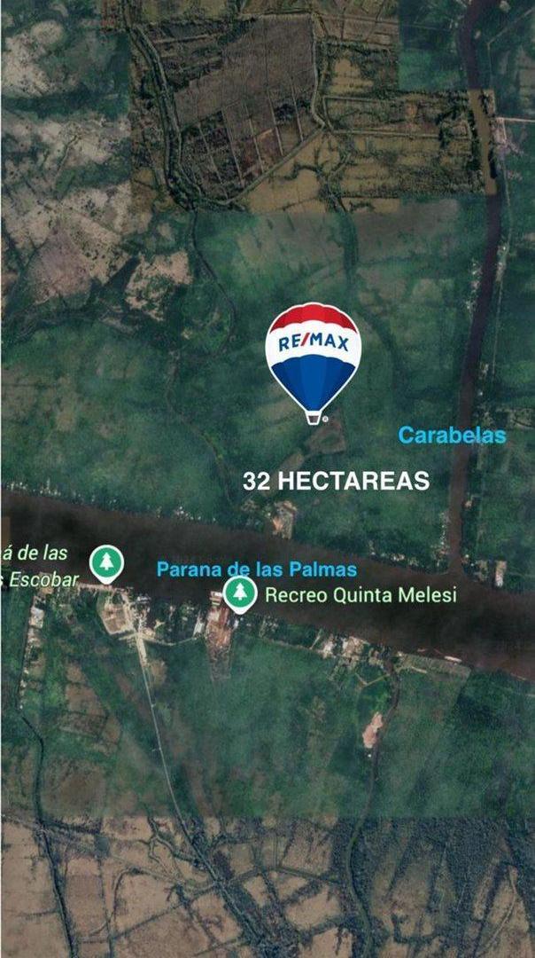 Foto de VENTA 32 HECTAREAS ISLAS PARANA de las PALMAS, imagen 3
