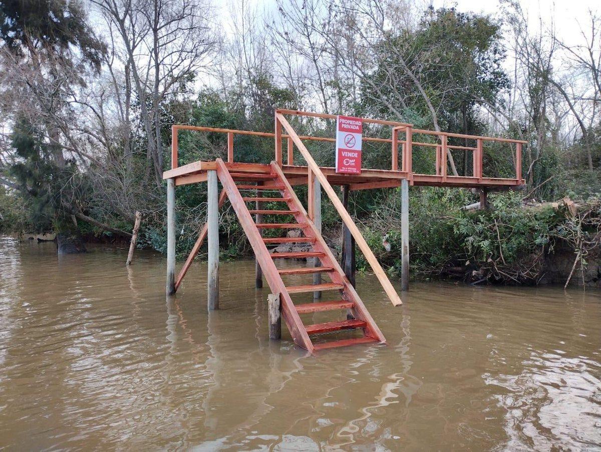 Foto de VENTA 32 HECTAREAS ISLAS PARANA de las PALMAS, imagen 4