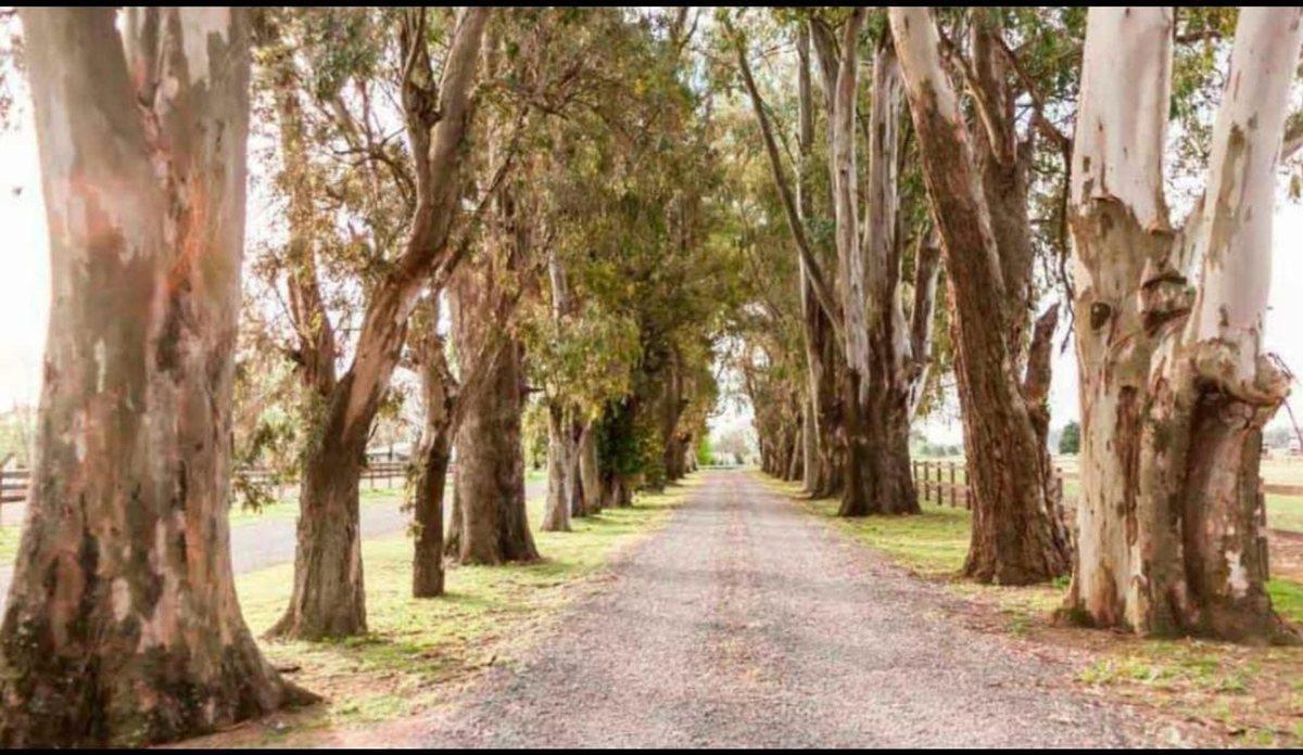 Foto de EN VENTA LOTE EN CLUB EL CAMPO, CARDALES - CAMPANA, imagen 1